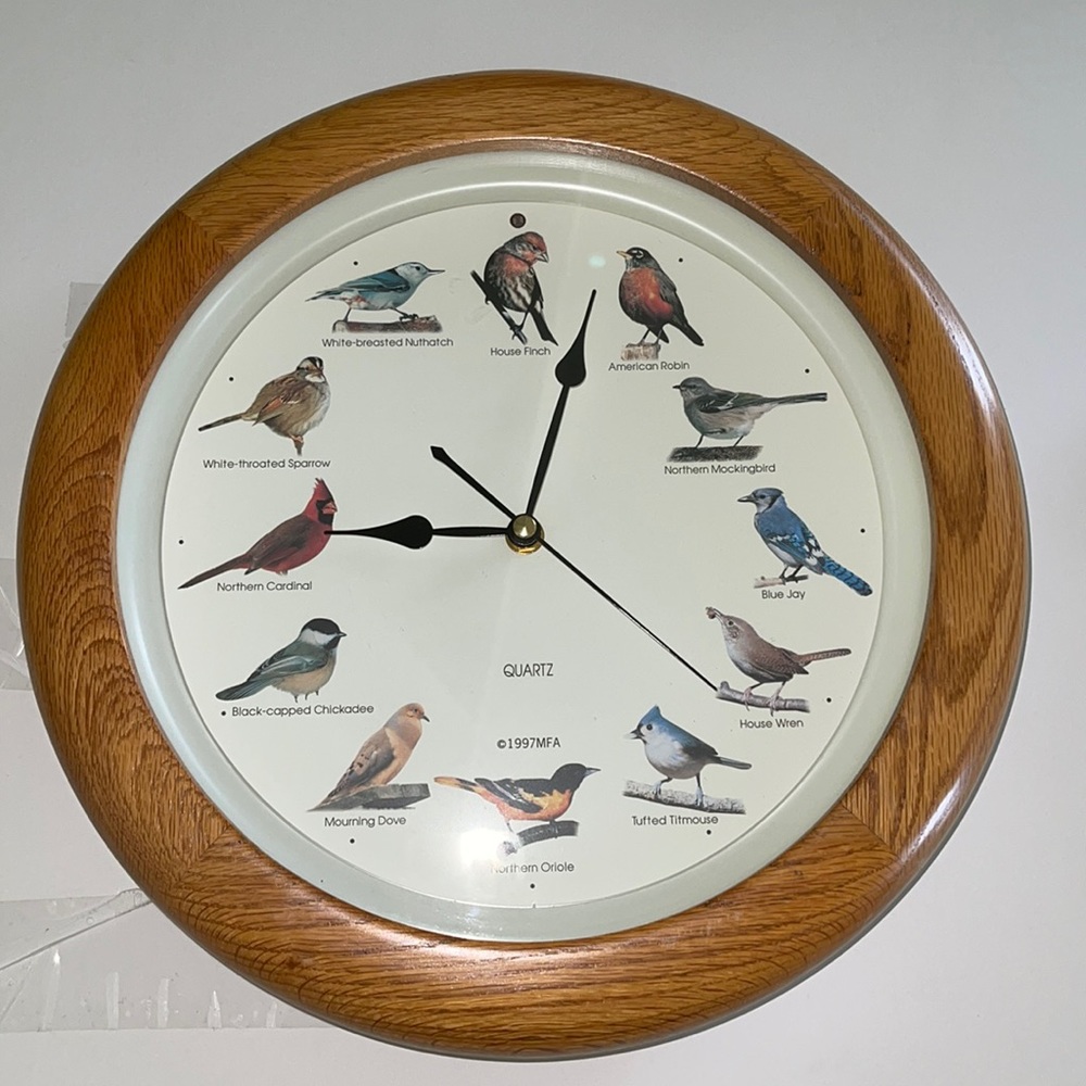 Bird song clock